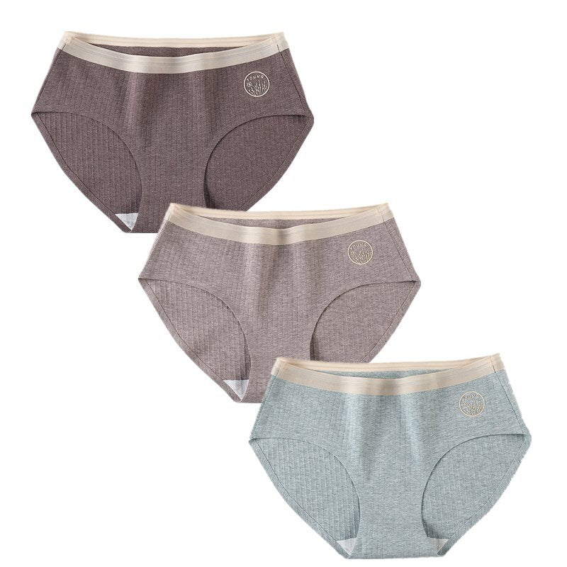 Set of 3 Sexy Seamless Women's Briefs