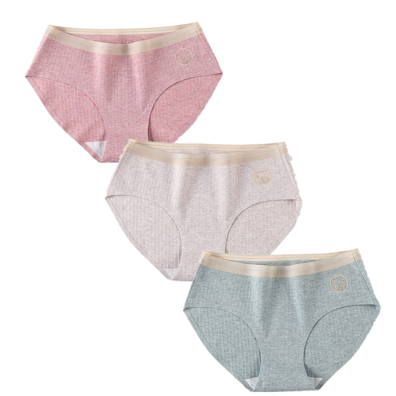 Set of 3 Sexy Seamless Women's Briefs