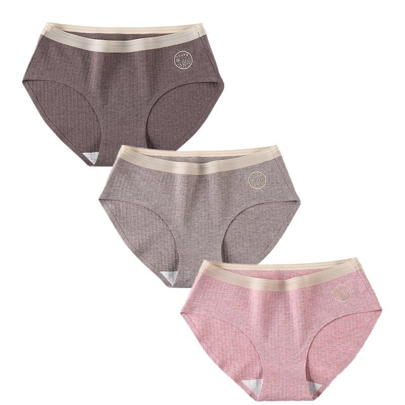 Set of 3 Sexy Seamless Women's Briefs