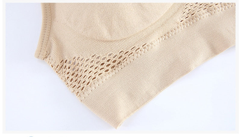 Women's Basic Plus Size Bra