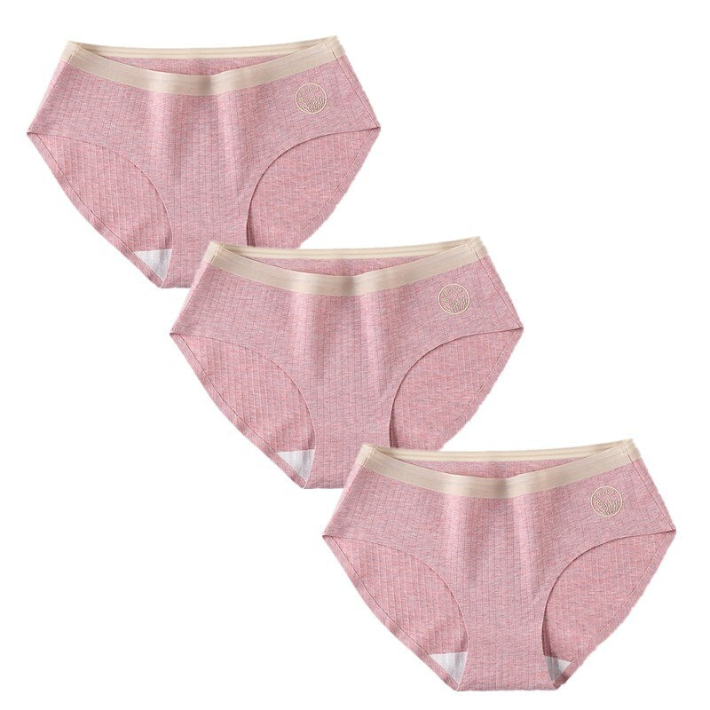 Set of 3 Sexy Seamless Women's Briefs