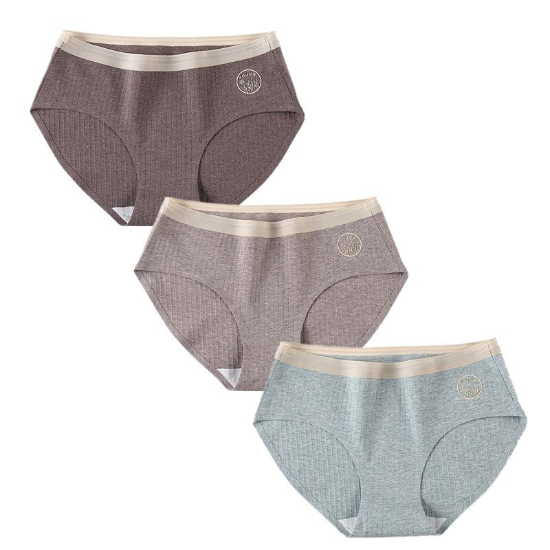 Set of 3 Sexy Seamless Women's Briefs