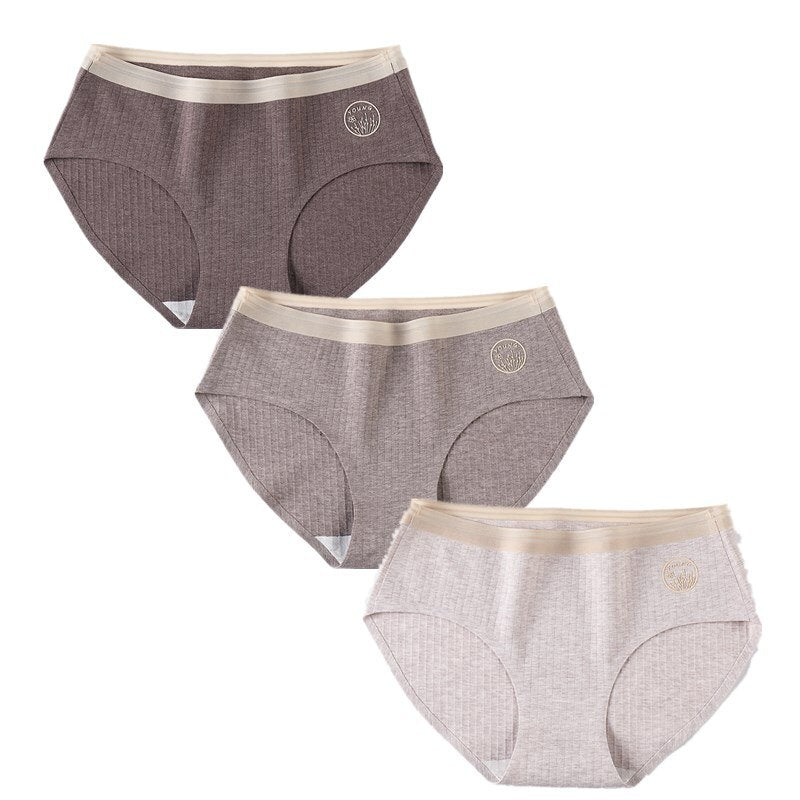 Set of 3 Sexy Seamless Women's Briefs