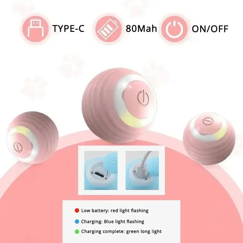 Interactive Cat Toy Ball Roll Pet Things Stuff Products Offer Supplies Games Kitten Accessories Katzen Gadgets Goods
