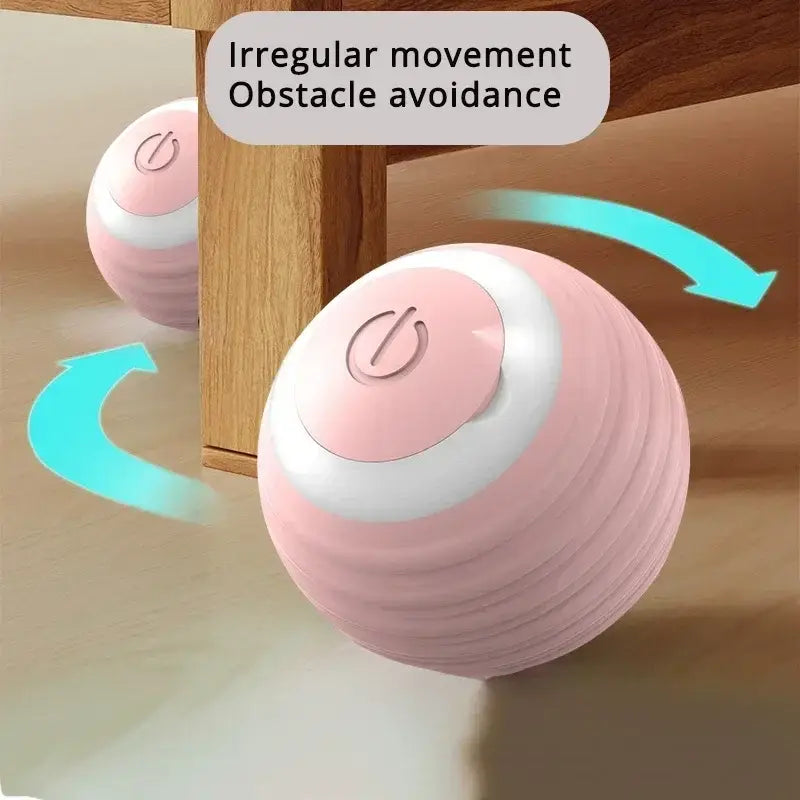 Interactive Cat Toy Ball Roll Pet Things Stuff Products Offer Supplies Games Kitten Accessories Katzen Gadgets Goods