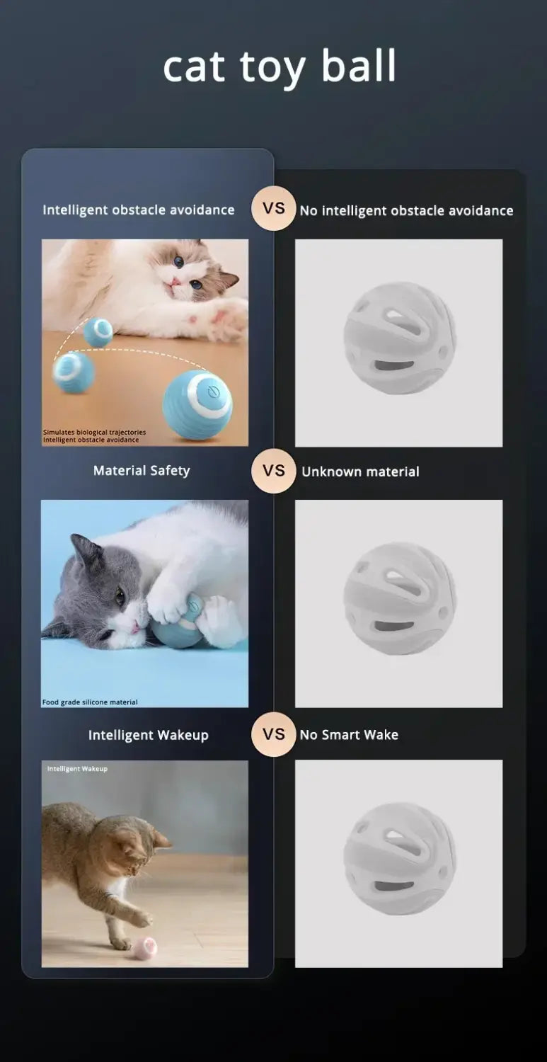 Interactive Cat Toy Ball Roll Pet Things Stuff Products Offer Supplies Games Kitten Accessories Katzen Gadgets Goods