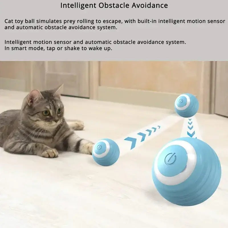 Interactive Cat Toy Ball Roll Pet Things Stuff Products Offer Supplies Games Kitten Accessories Katzen Gadgets Goods